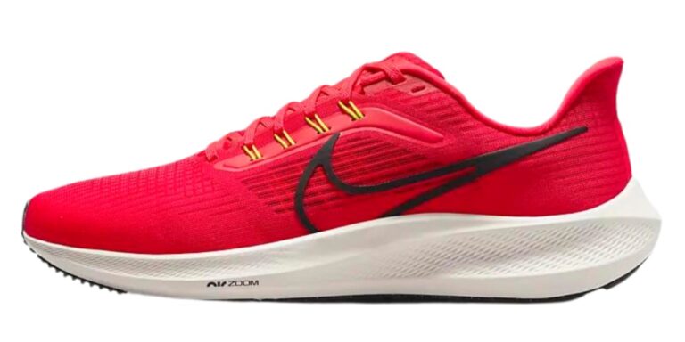 Nike Air Zoom Pegasus 39​